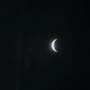 傲姣宝宝三角木马sM工作室
